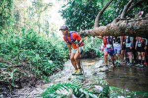 BIB: 
                            <button type="button" onclick="openModal(25466602)" class="btn btn-primary btn-sm float-right btn-popup" data-toggle="modal" data-target=".modal-high-quality">
                        <i class="fas fa-shopping-cart"></i> Add to Cart
                    </button>
                                            <button type="button" onclick="isThisMe(25466602, true)" class="btn btn-success btn-sm float-right btn-popup btn-isme hidden" data-toggle="tooltip" data-placement="bottom" title="นี่คือรูปของคุณใช่ไหม คลิกที่นี่เพื่อเอาเข้าอัลบั้ม">
                        <i class="fas fa-plus"></i> Add to album
                    </button>
                    <button type="button" onclick="isThisMe(25466602, false)" class="btn btn-warning btn-sm float-right btn-popup btn-isnotme hidden">
                        <i class="fas fa-ban"></i> Remove from album
                    </button>